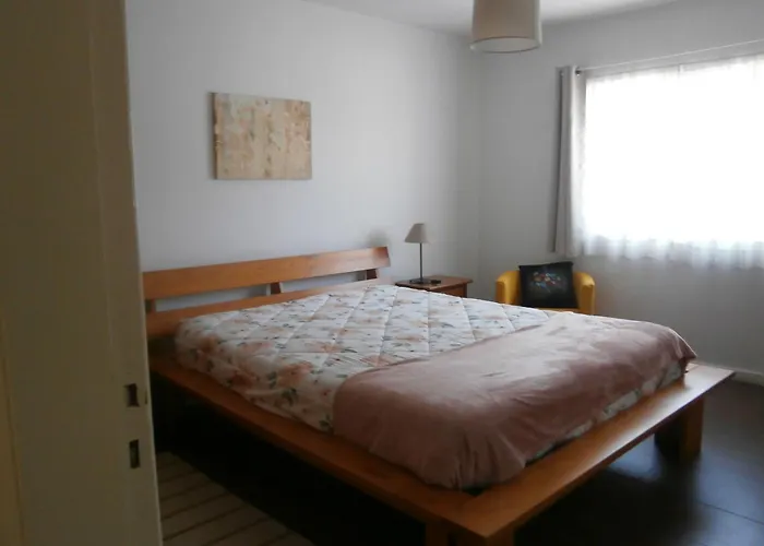 Casa S.joao-casa Rustica Rio, Mar E Montanha 度假居 卡米尼亚